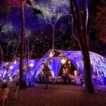 Strutture-personalizzate-eventi